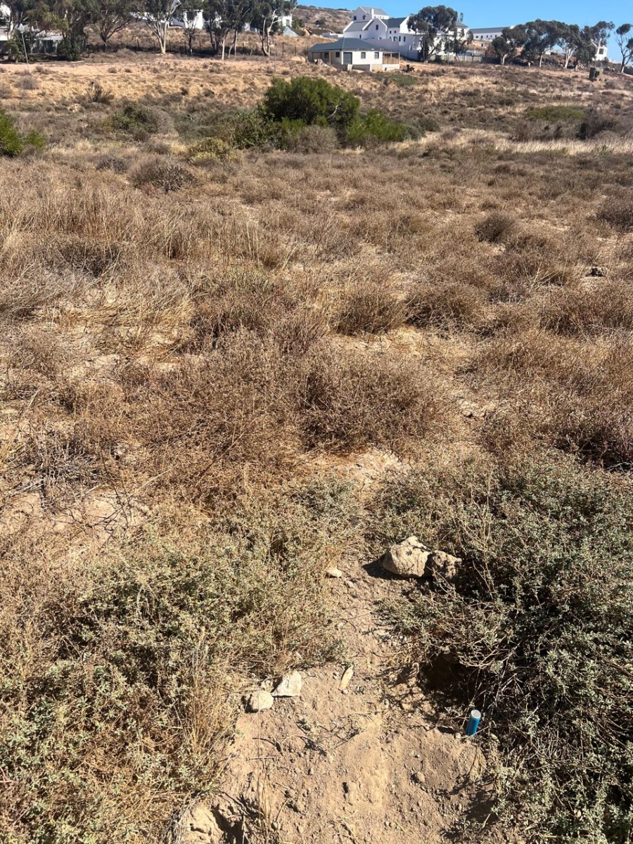 Commercial Property for Sale in St Helena Views Western Cape